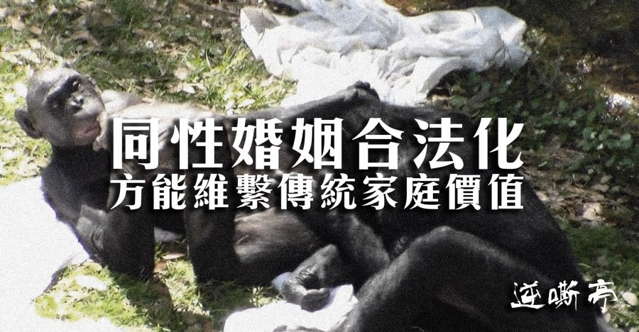 11653853_10207024850639182_449254000_o