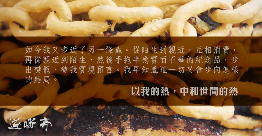 11840246_10207336475829617_307788794_o