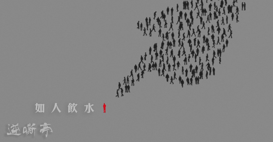 11948482_10207526670024353_1131972276_o